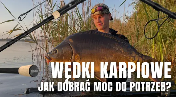 Co oznacza lbs na wędce i jak wpływa na wybór sprzętu wędkarskiego