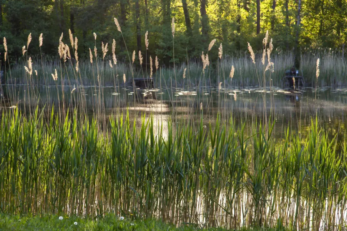 Jezioro Ciemino: piękne miejsce na wędkowanie i relaks w naturze