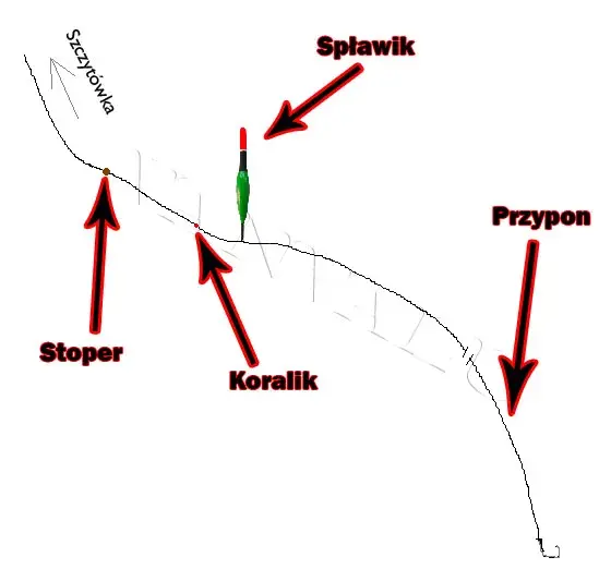 Jak założyć świetlik na spławik - proste metody, które działają