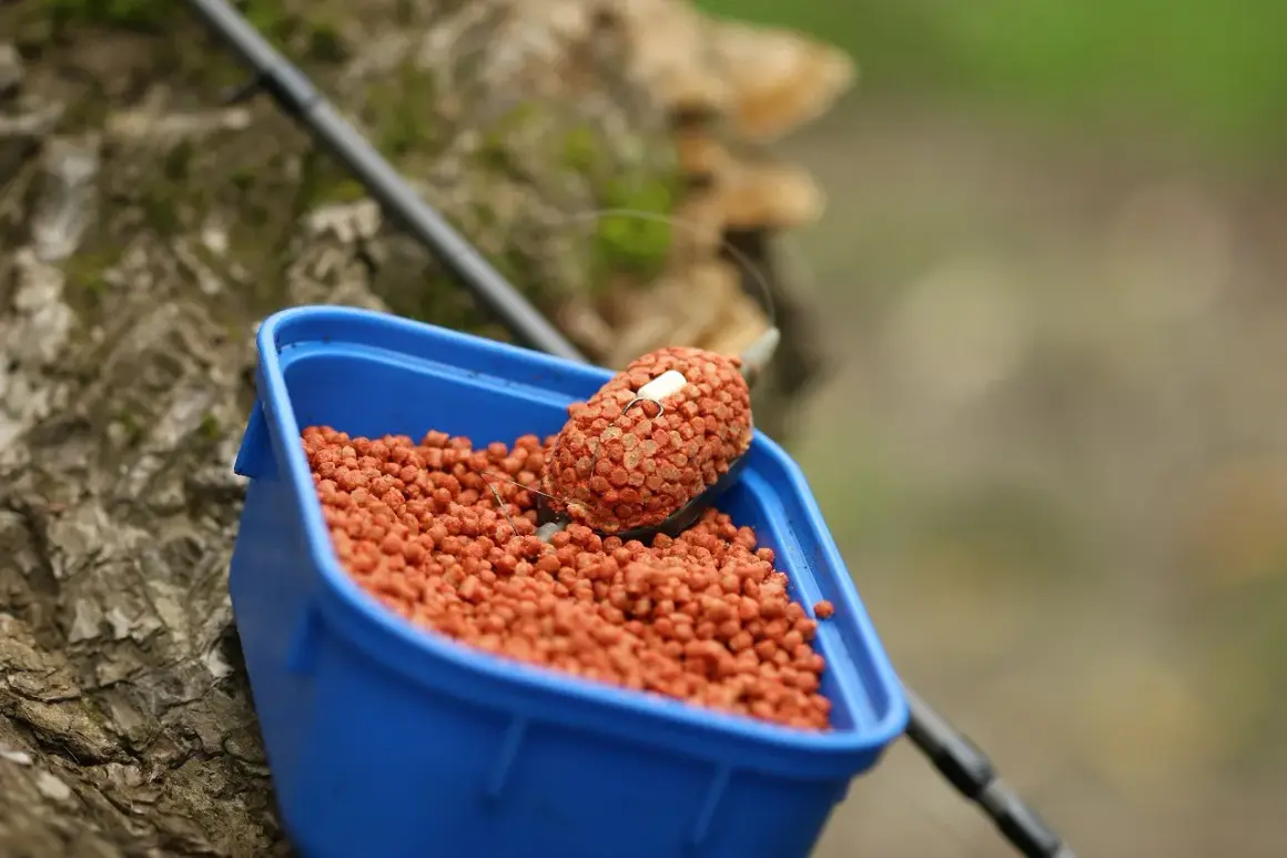 Nawilżanie pelletu do podajnika method feeder. W niebieskim pojemniku znajduje się pellet, a na nim uformowana kulka z haczykiem.