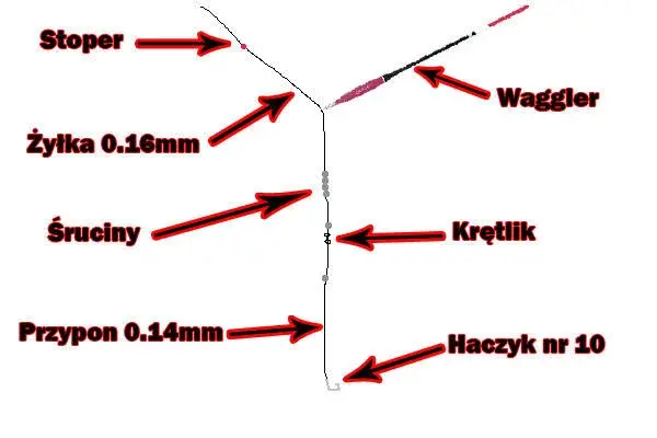 Jak założyć spławik przelotowy i uniknąć najczęstszych błędów