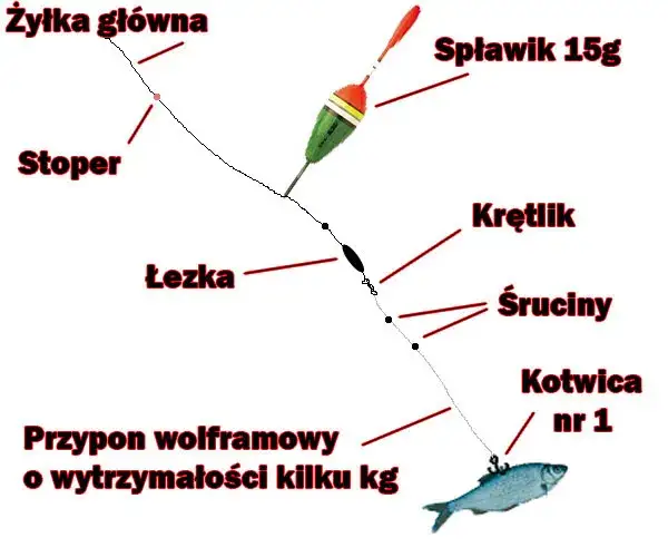 Zdjęcie Jaką żyłkę na spławik wybrać, aby zwiększyć swoje szanse na ryby?