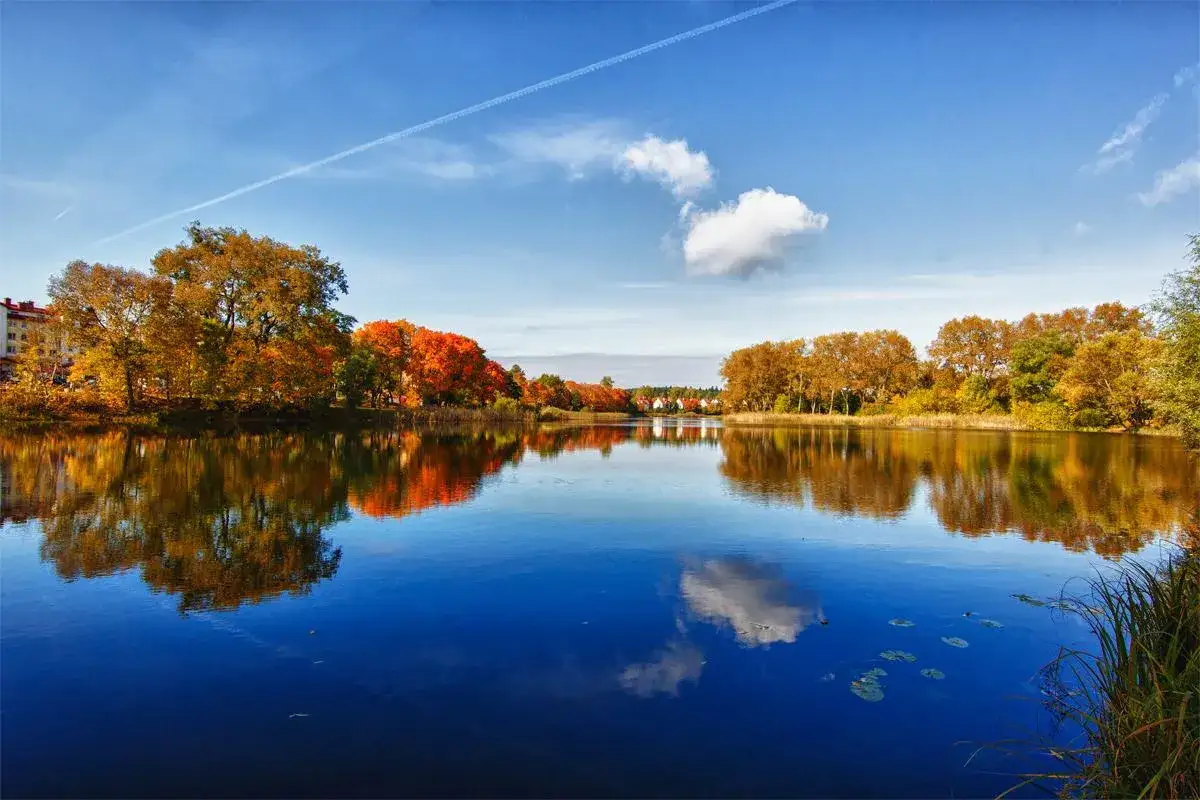 Zdjęcie Jezioro Pełcz: odkryj jego piękno, atrakcje i ryby, które tu żyją