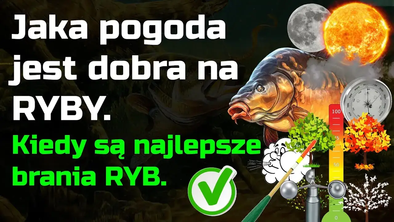 Zdjęcie Czy dzisiaj biorą ryby? Sprawdź niską aktywność i najlepsze godziny