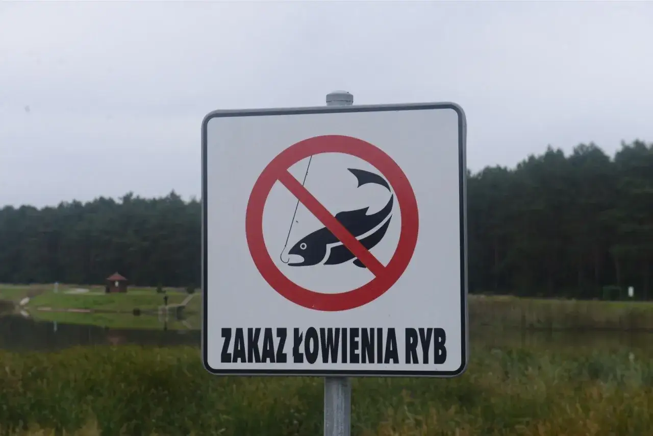Zdjęcie Od kiedy bez karty wędkarskiej? Poznaj nowe zasady wędkowania