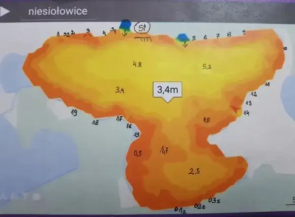 Zdjęcie Łowisko Niesiołowice – idealne miejsce na wędkarską przygodę w naturze