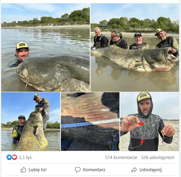 Zdjęcie Rekord świata suma – 292 cm i niezwykłe okoliczności złowienia