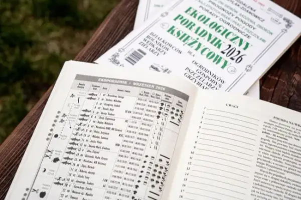 Kalendarz brań – jak przewidzieć najlepsze dni na wędkowanie