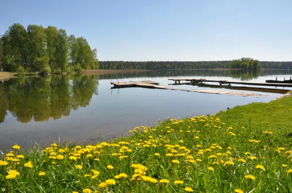 Jezioro Serwy – odkryj niezwykłe atrakcje i rekreację w okolicy
