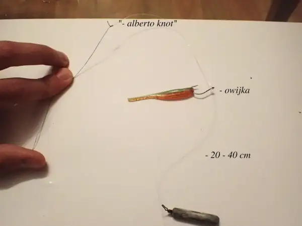 Metoda drop shot na rzece: jak utrzymać ciężarek w miejscu podczas brań. Zobacz, jak zawiązać "alberto knot" i jak zamontować przynętę.
