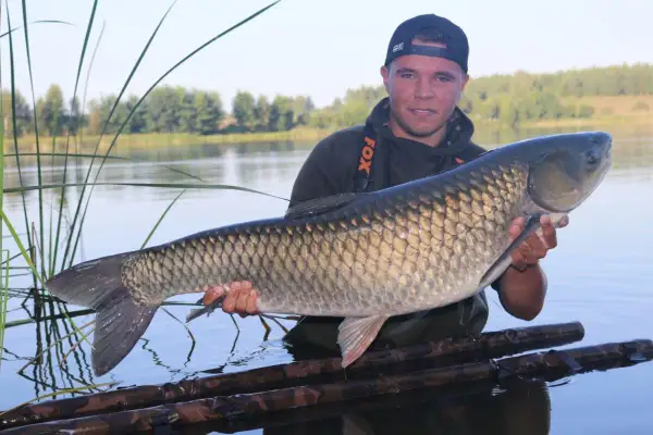 Jak szybko rośnie amur? Odkryj zaskakujące tempo wzrostu tej ryby
